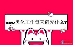 寶雞網：seo優化工作每天研究這6點!(大站運營)